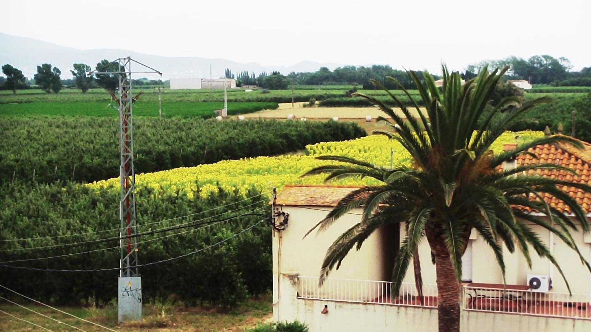 La Masia Sant Pere Pescador Eksteriør billede